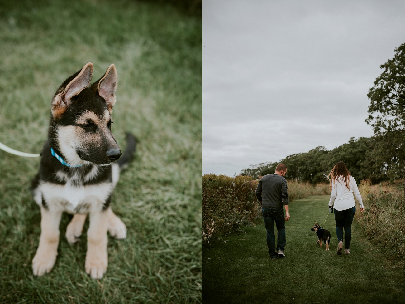 Fall Engagement with Puppy - Madison WI Wedding Photographer