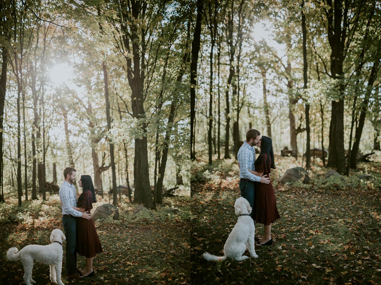 Fall Milwaukee Engagement - Milwaukee Wedding Photographer - Natural Intuition Photography