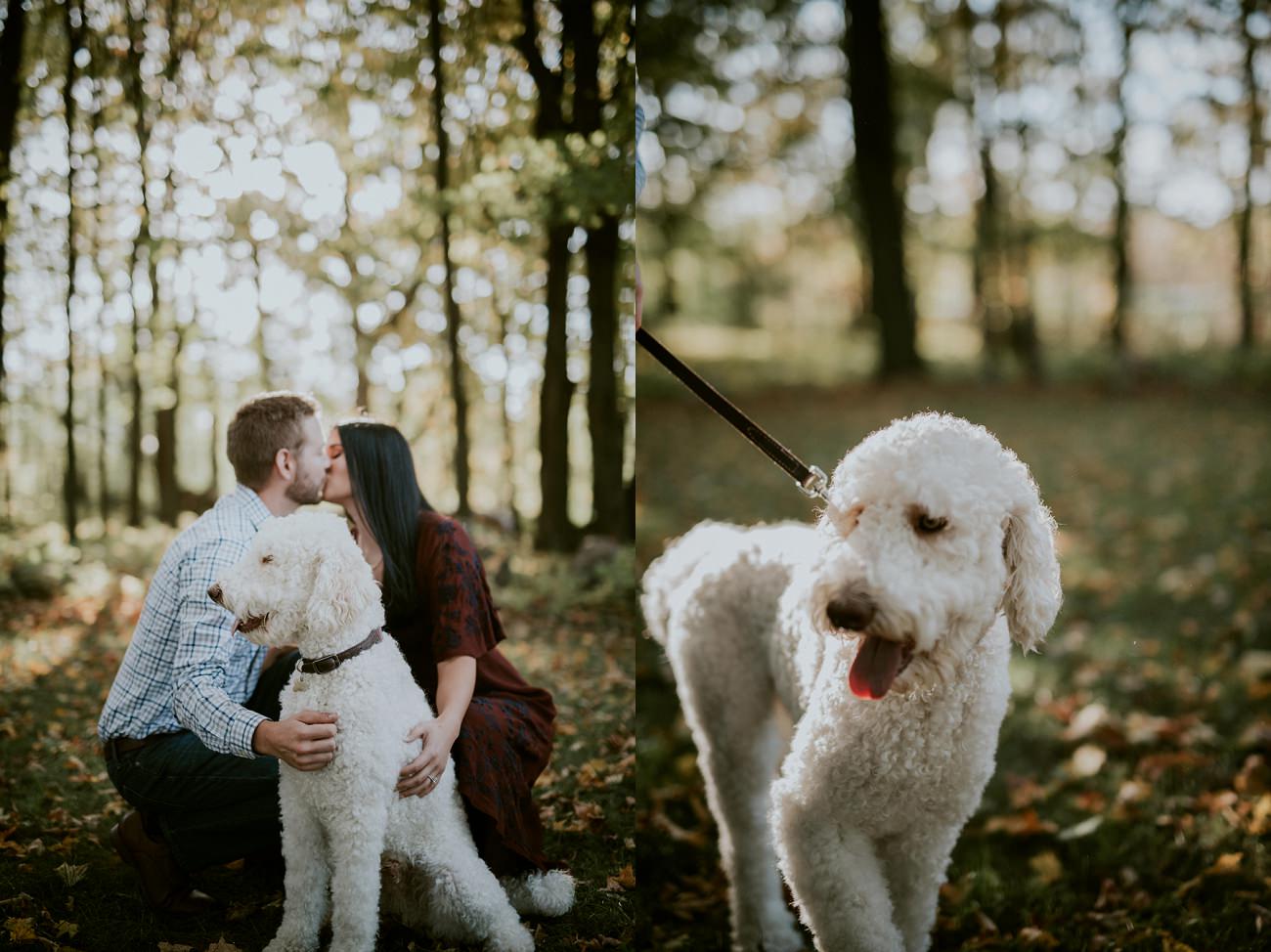 Engagement Sessions with Dogs- Milwaukee Wedding Photographer - Natural Intuition Photography