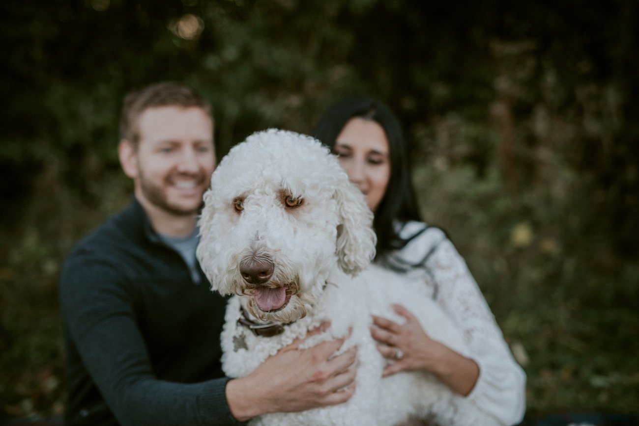 Engagement Sessions with Dogs- Milwaukee Wedding Photographer - Natural Intuition Photography