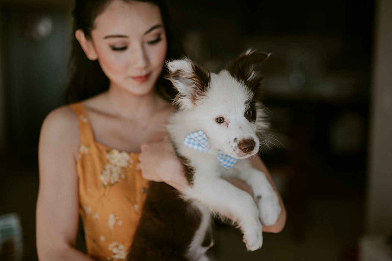 Bride with puppy, dog photos, wedding day with dogs, madison wi photographer