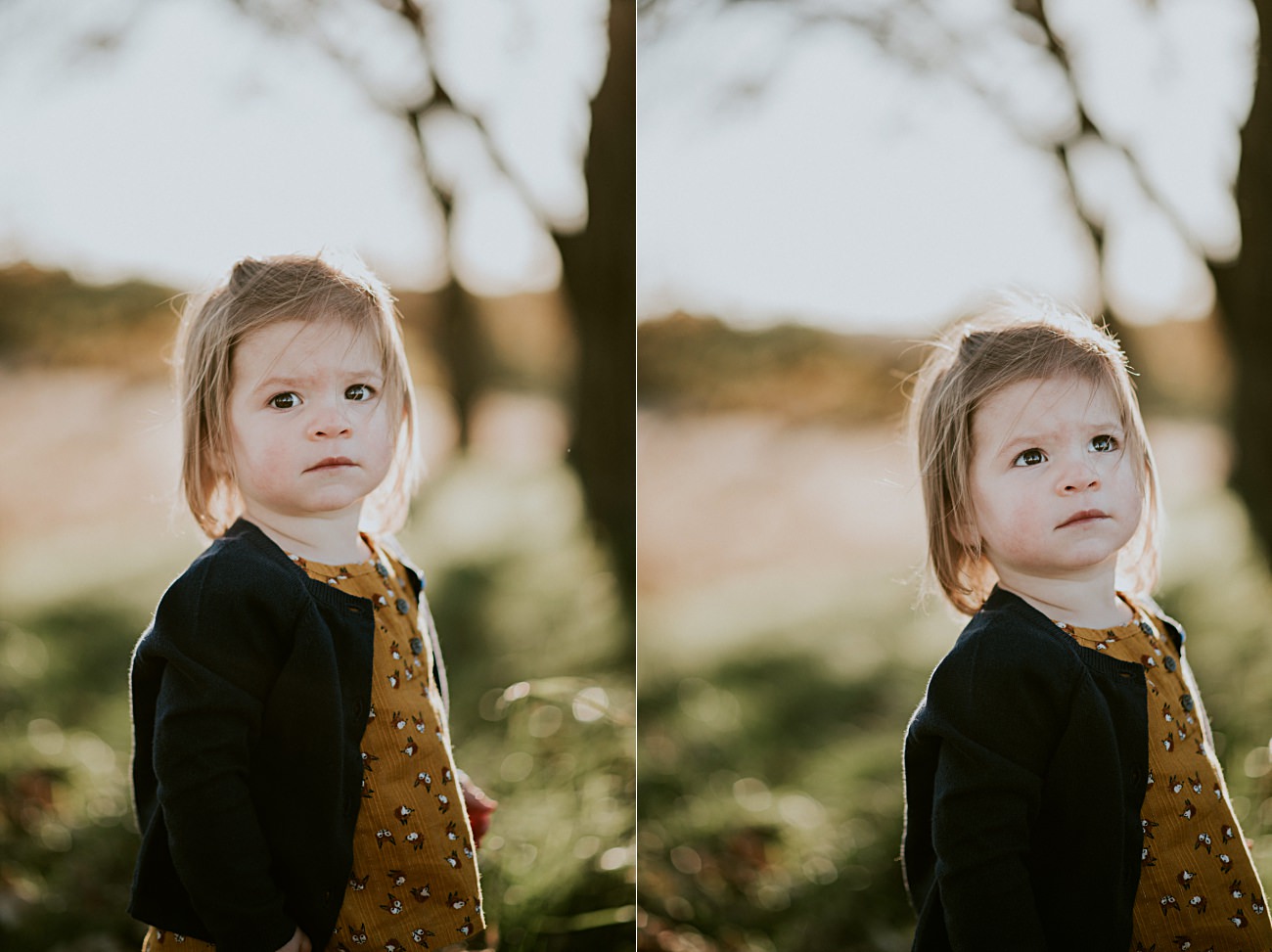 Fall Family Photography in Madison Wisconsin - Natural Intuition Photography