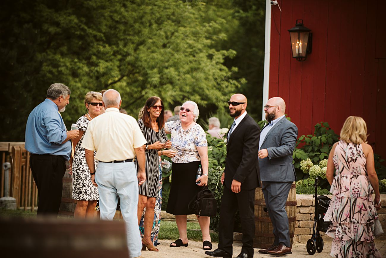Bridal Barn & Garden Wedding, Madison Wisconsin, Mt Horeb Wisconsin Wedding Photographer, Natural Intuition Photography, Wedding Reception Photographer