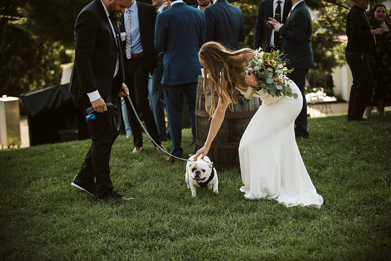 Dogs at Weddings, Bridal Barn & Garden Wedding, Madison Wisconsin, Mt Horeb Wisconsin Wedding Photographer, Natural Intuition Photography, Wedding Reception Photographer