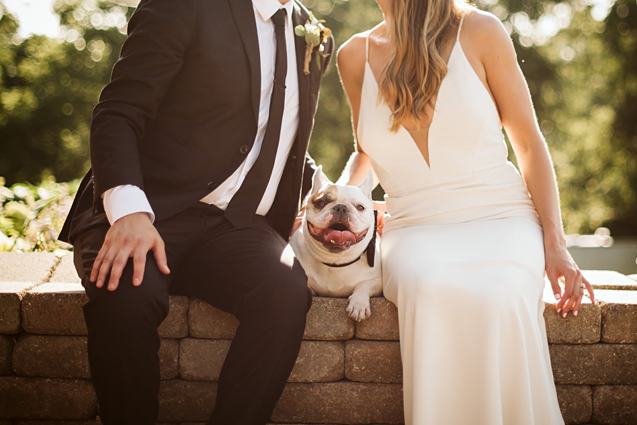Dogs at Weddings, Bridal Barn & Garden Wedding, Madison Wisconsin, Mt Horeb Wisconsin Wedding Photographer, Natural Intuition Photography, Wedding Reception Photographer