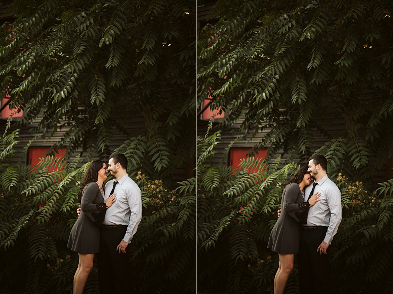 City Engagement Session, Downtown Madison Wisconsin Engagement with Dog, Engagement with Husky, Engagement in Alley