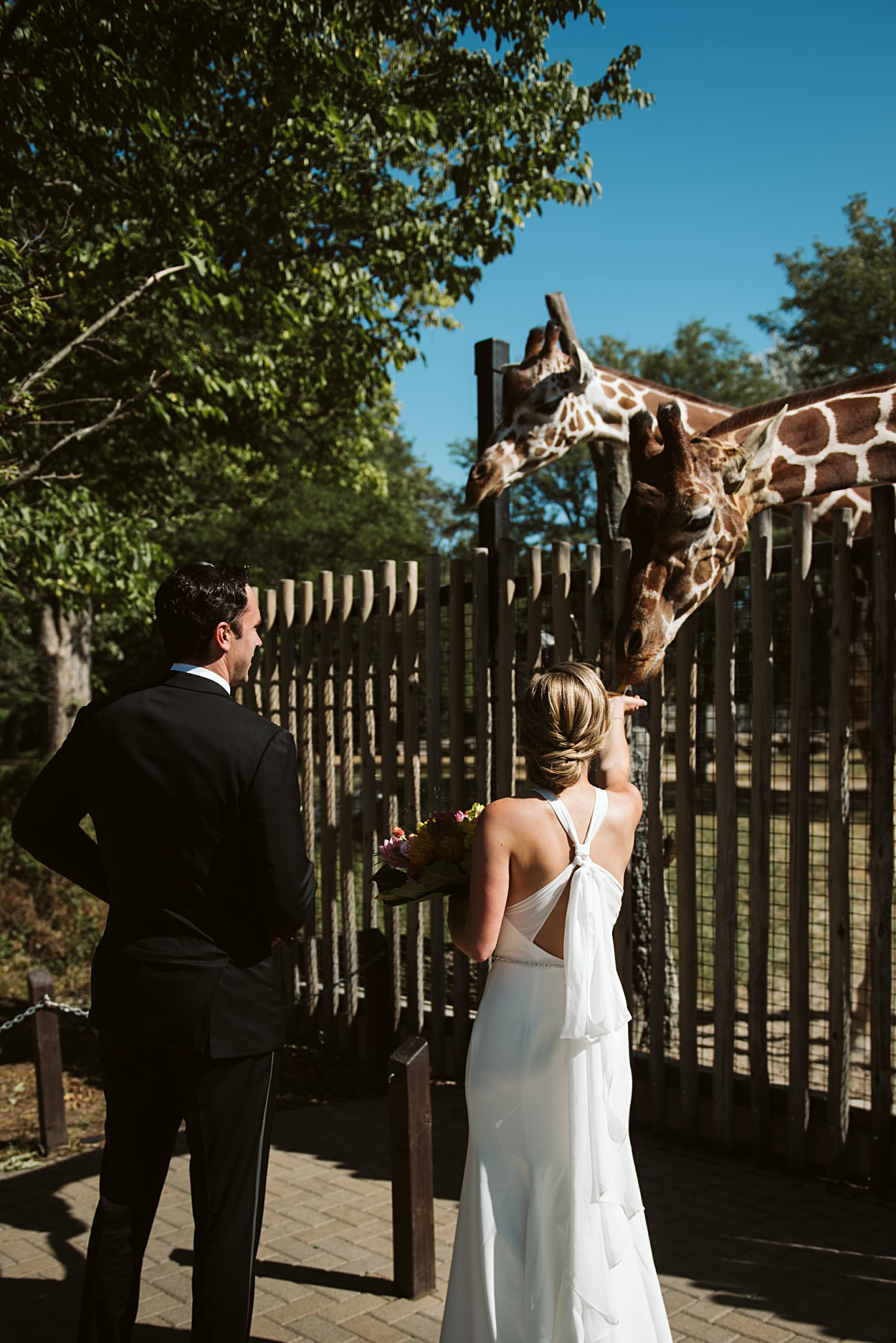 brookfield zoo chicago wedding