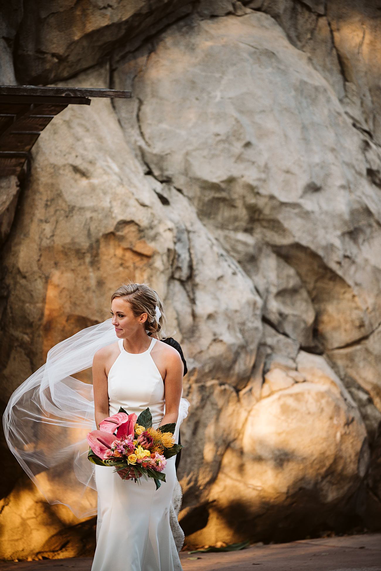 Bridal Photos, Chicago Wedding Photographer