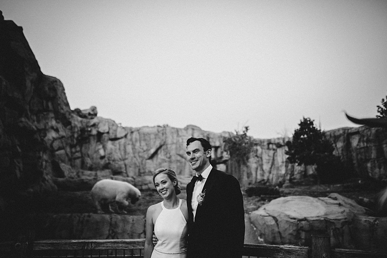 Bride and Groom with Polar Bear