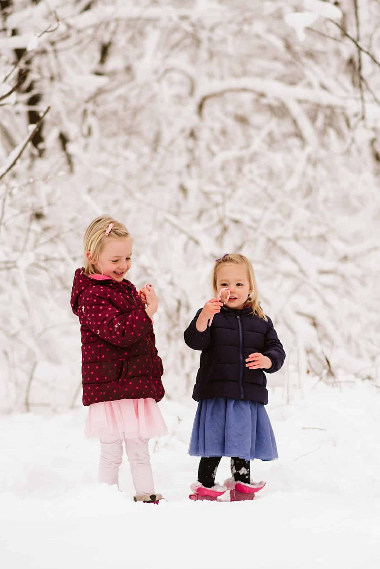 stoughton family photographer stoughton wi