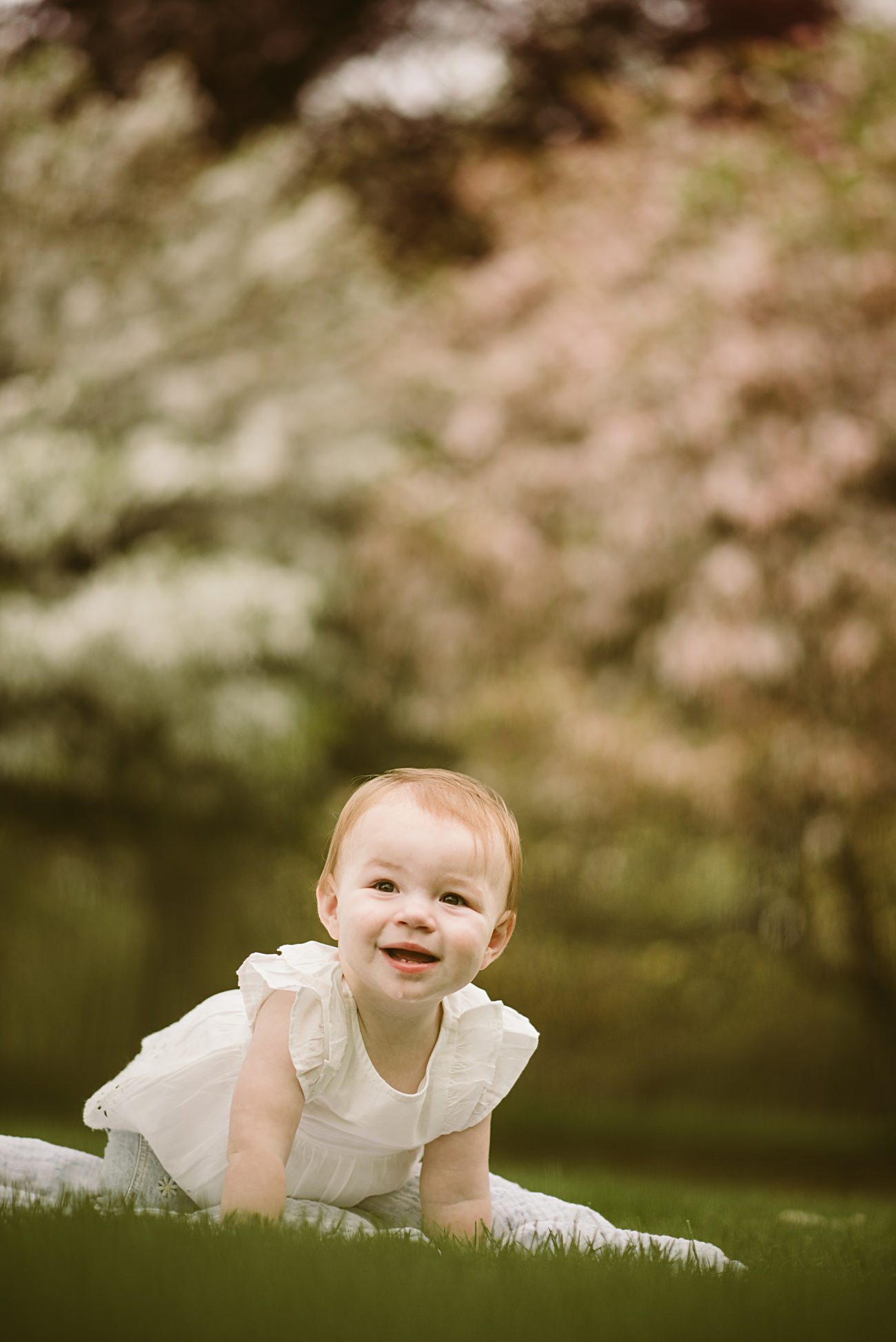 UW Arboretum Cherry Blossom Family Session, Children's Photography