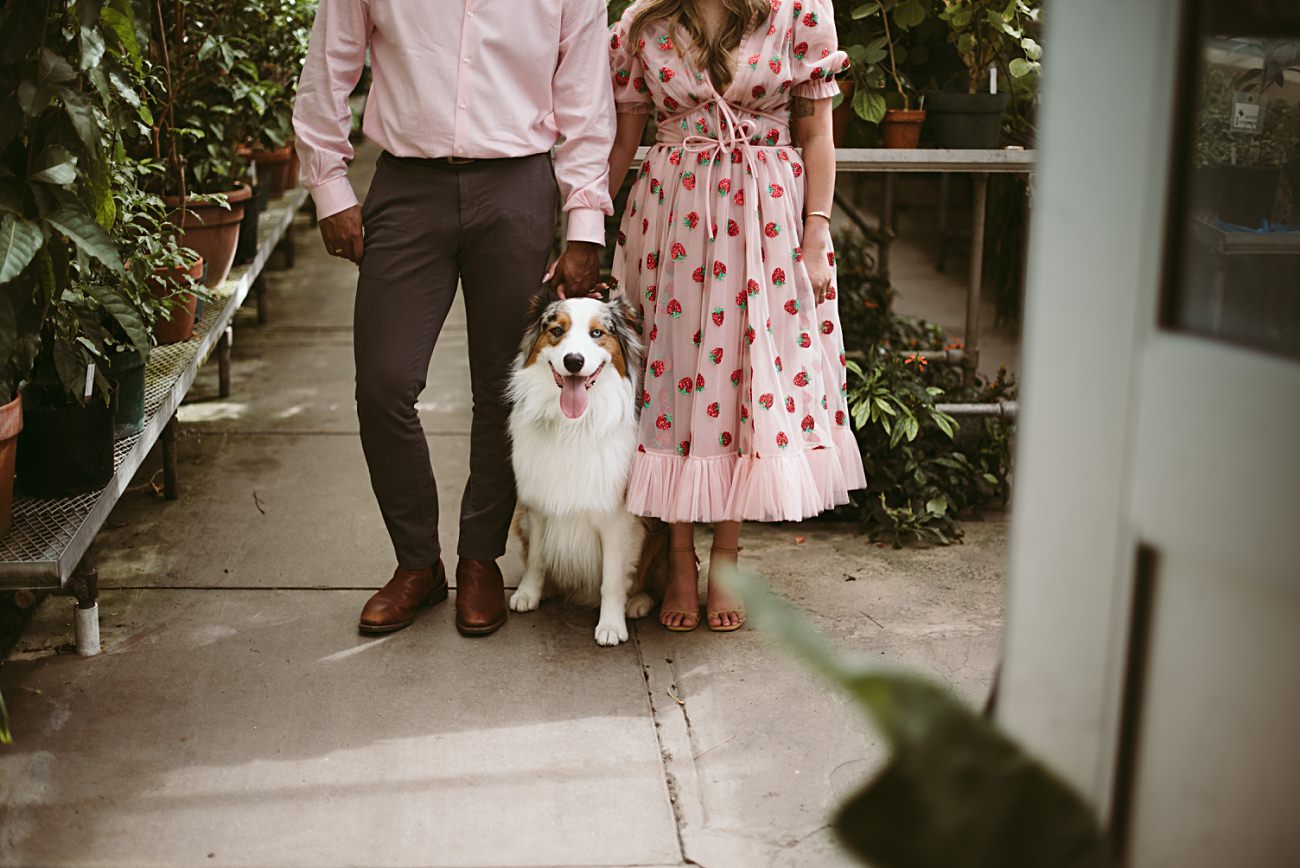 Anniversary Session with Dogs, Modern Anniversary Session in Madison Wisconsin