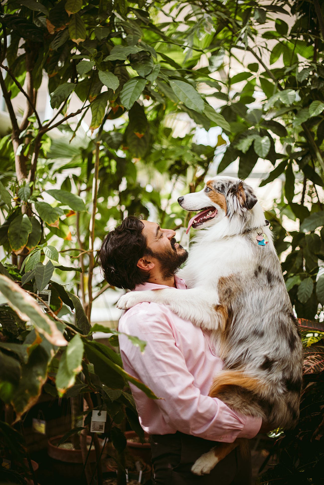 Anniversary Session with Dogs, Modern Anniversary Session in Madison Wisconsin