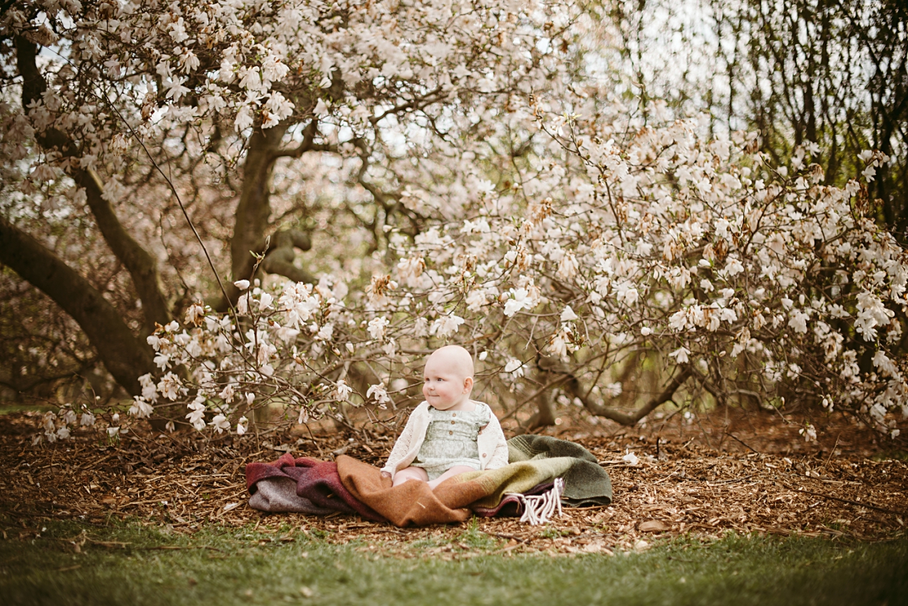 Spring Family Photography in Madison Wisconsin