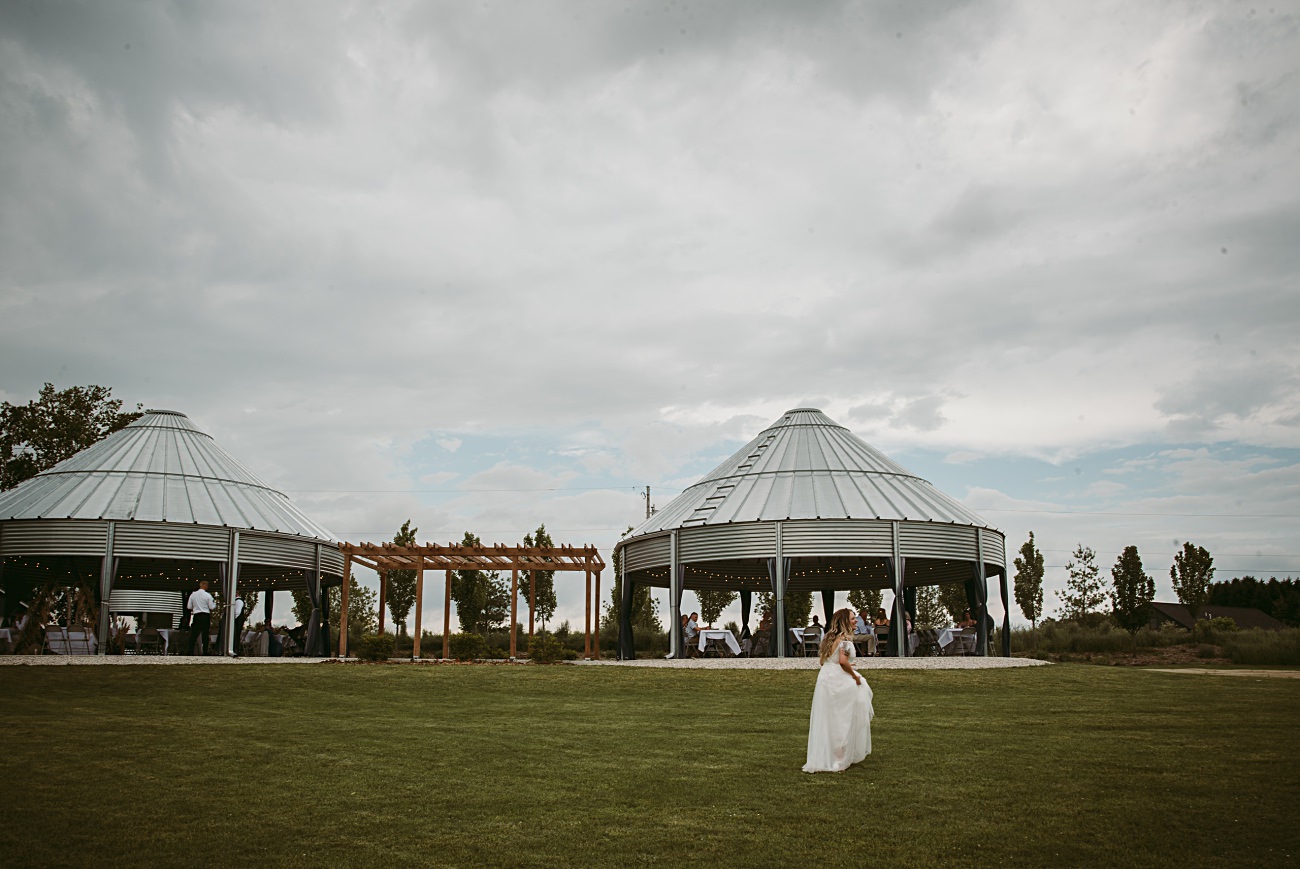 Blue Barn on the Green Wedding, Wisconsin Wedding Photographer near Oshkosh Wisconsin, Milwaukee Photographer