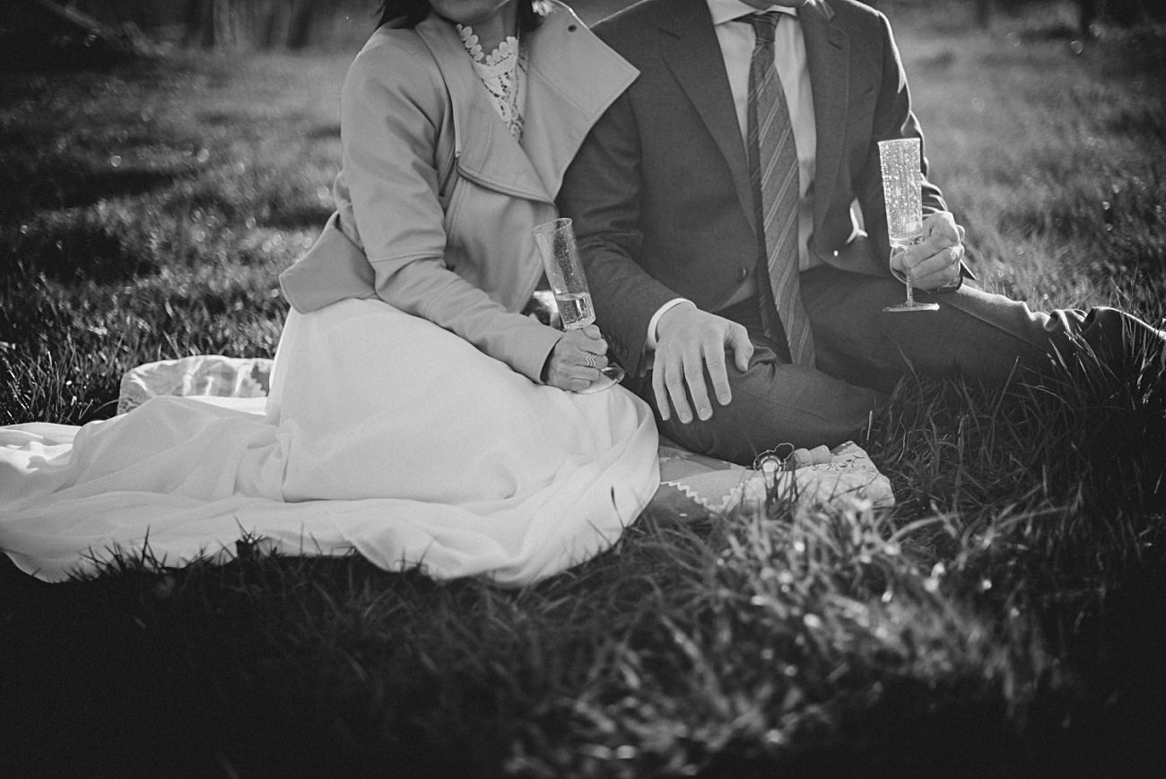 Pre-Wedding Photos in Madison, Wedding Photo Inspiration