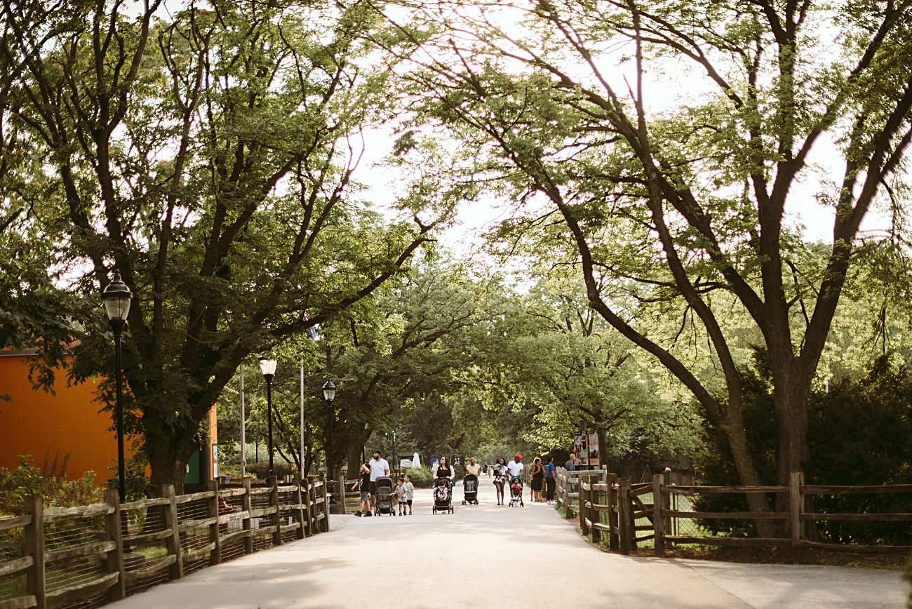 brookfield zoo weddings photos, Chicago Zoo Wedding Photographer