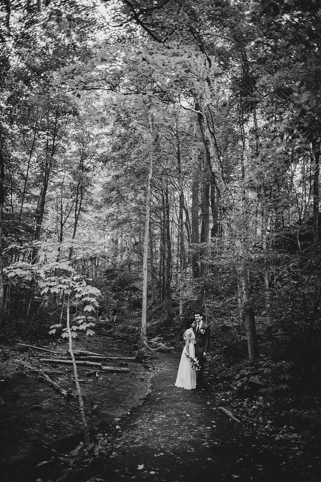 Elopement Locations Wisconsin, Waterfall in Wisconsin