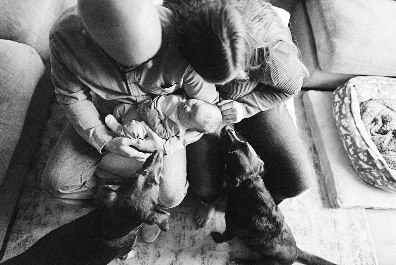 at home family photography session