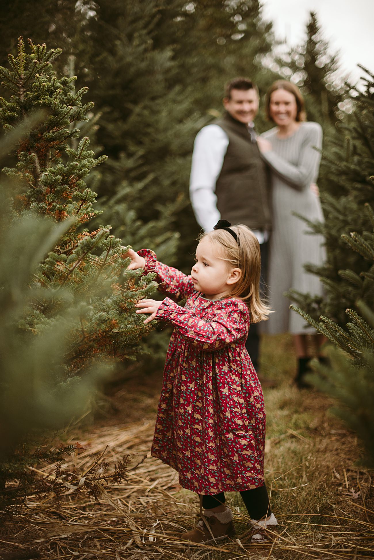 tree farm mini sessions madison wi