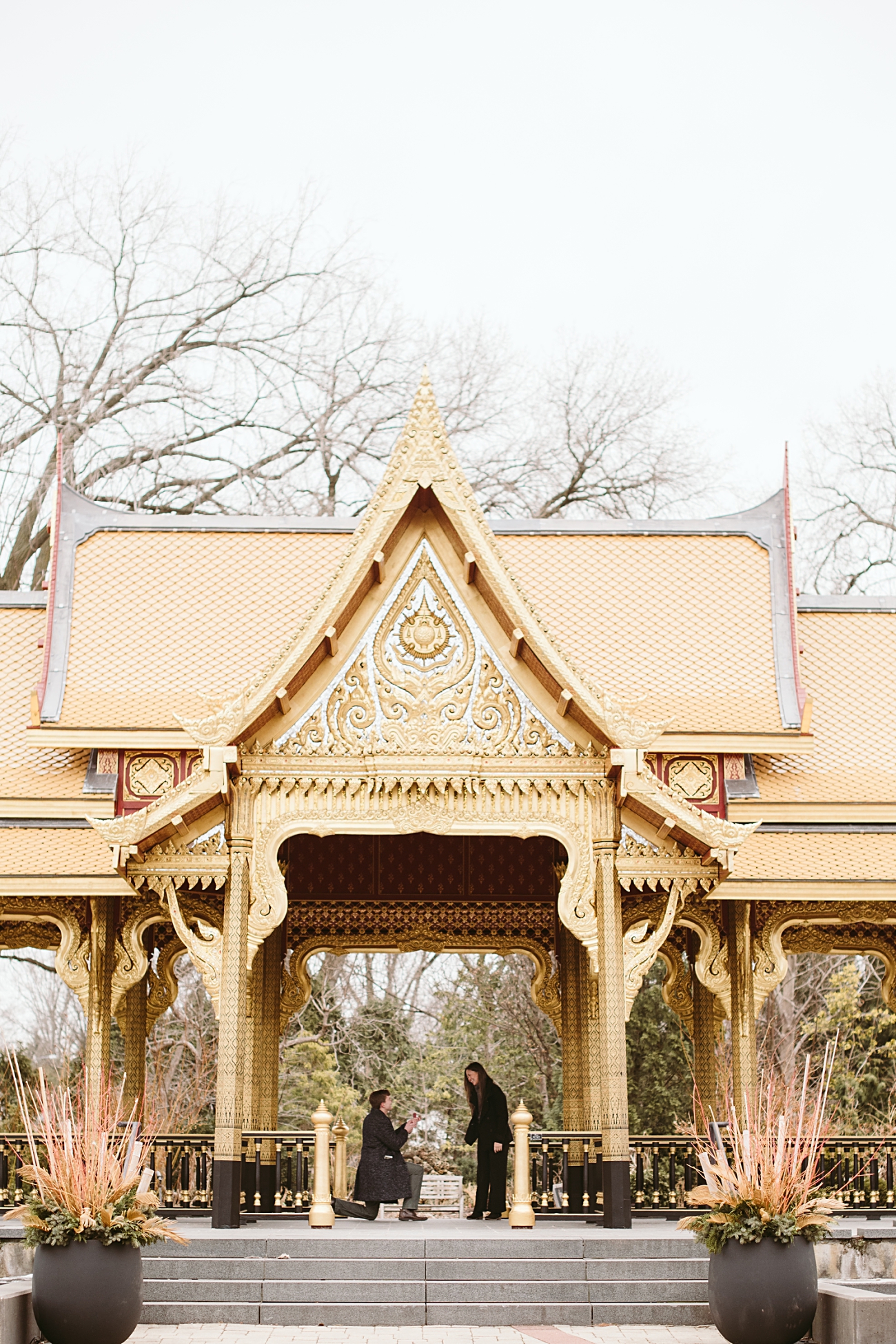 Madison Proposal at Olbrich Botanical Gardens, Olbrich Botanical Gardens Marriage Proposal