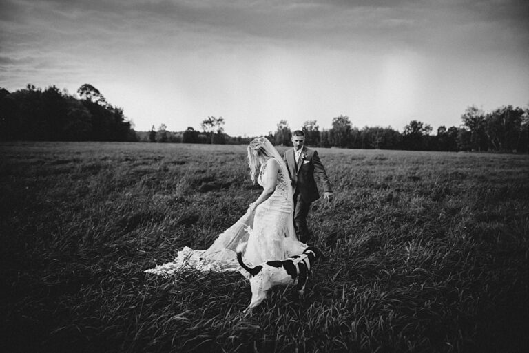 outdoor wedding northern Wisconsin, Wedding with horses