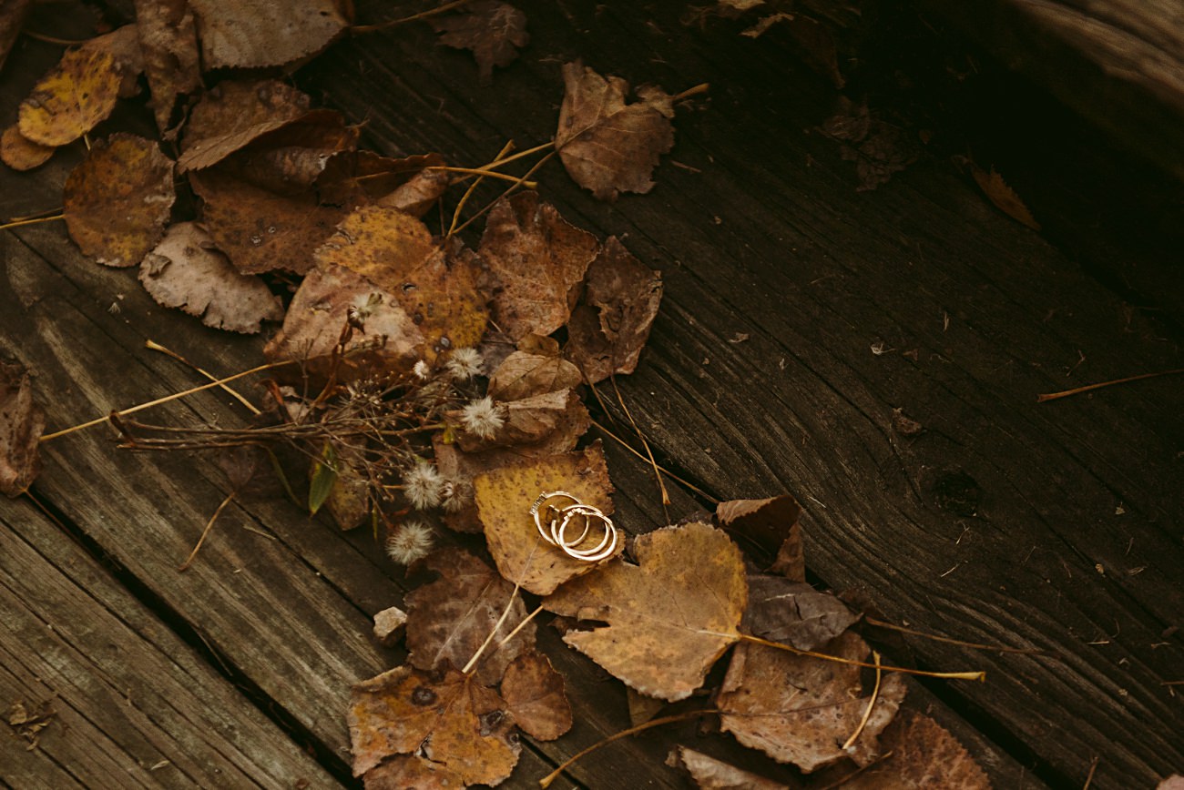 Golden Cherokee Marsh Engagement Session. Fall engagement photos, madison wi