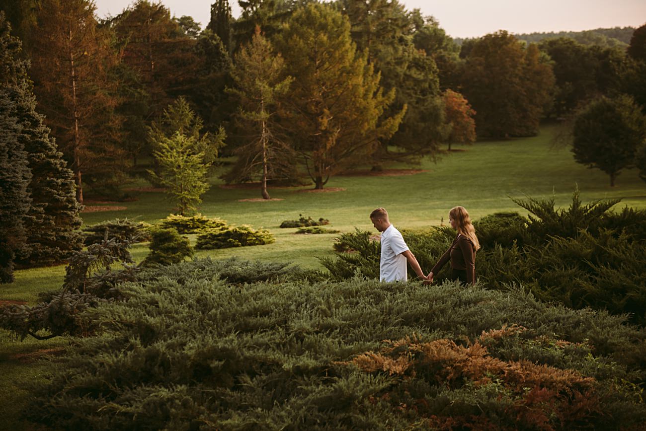 A couple walks hand in hand through the lush, green UW Arboretum in Madison, surrounded by trees and bushes under soft, warm light—a perfect spot for a heartfelt proposal.