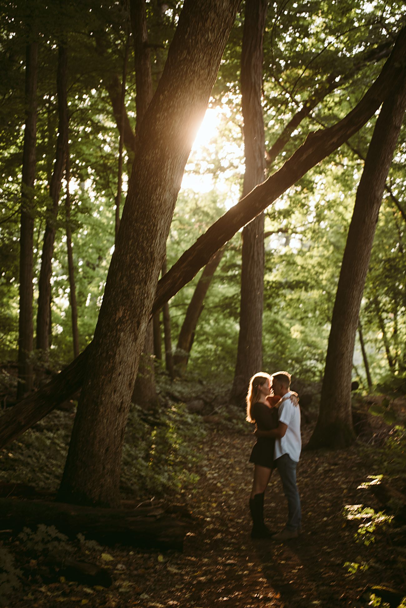 A couple stands closely together on a sunlit UW Arboretum path in Madison, surrounded by tall trees. Sunlight filters through the leaves, creating a warm and romantic atmosphere perfect for a proposal.