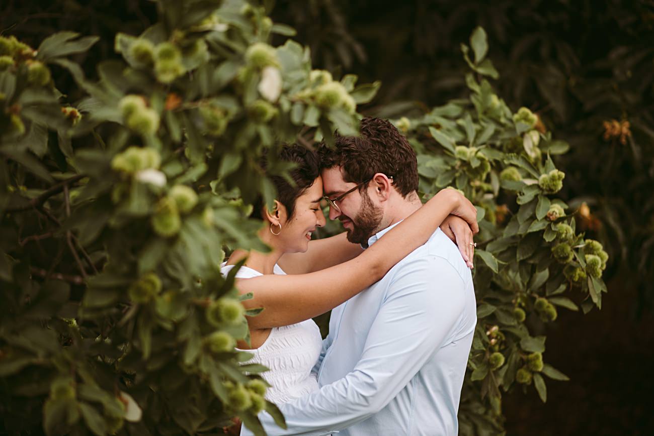 Dinda & Geron share a tender embrace nestled among green, leafy branches during their UW-Arboretum engagement, smiling with foreheads touching in this intimate summer engagement session outdoors.